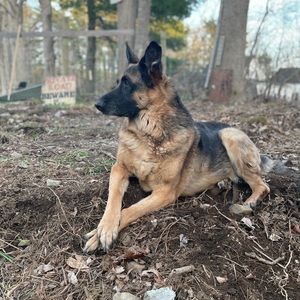 Meet your Posher, Caitlin